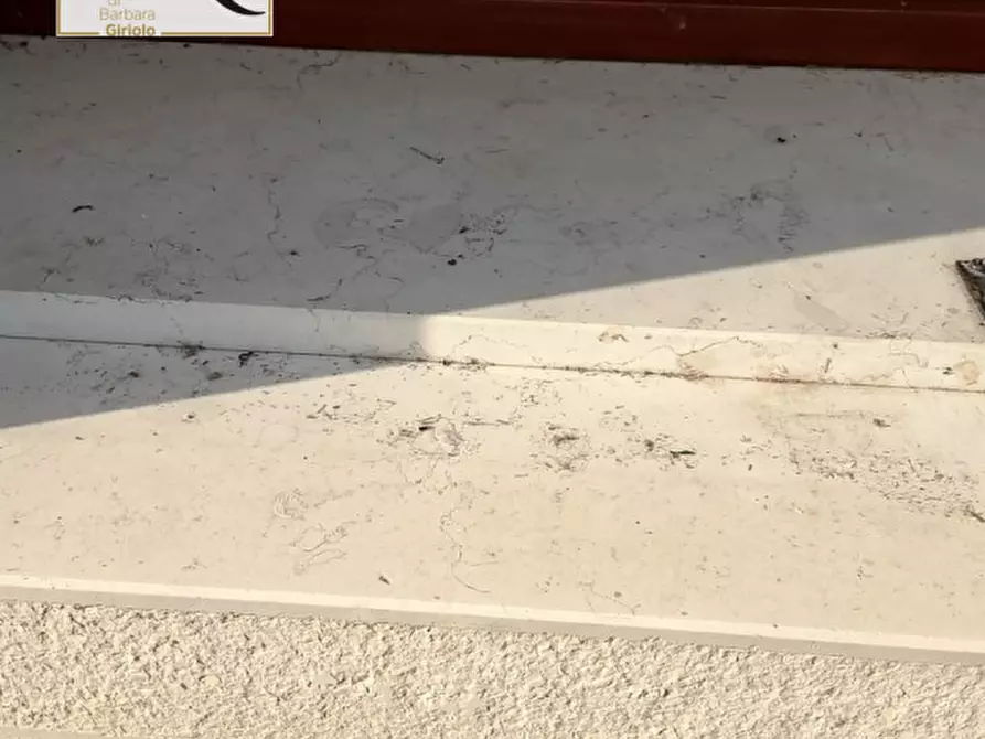 Immagine 28 di Casa indipendente in vendita  a Ceneselli