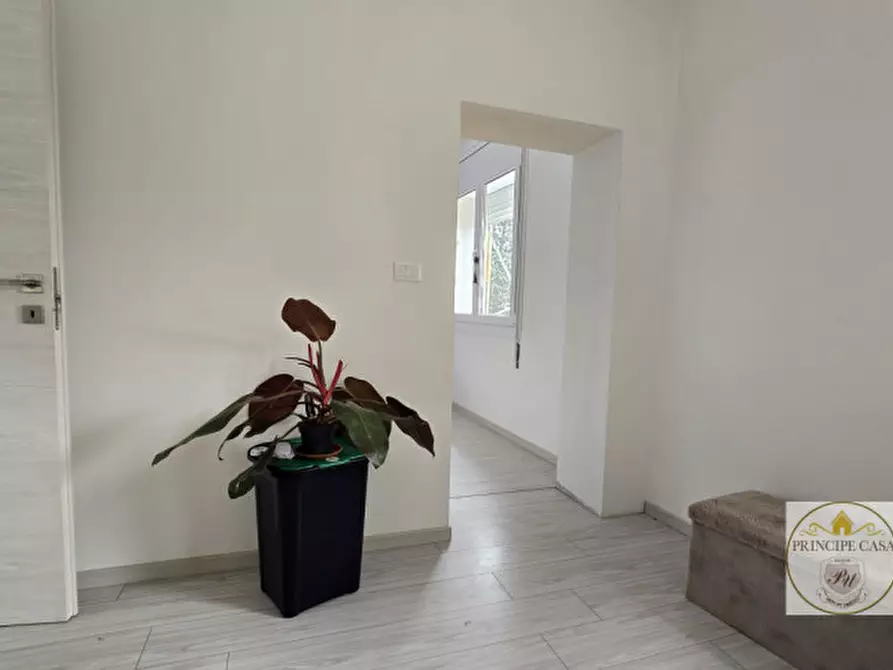 Immagine 22 di Casa bifamiliare in vendita  in via giarre a Lozzo Atestino