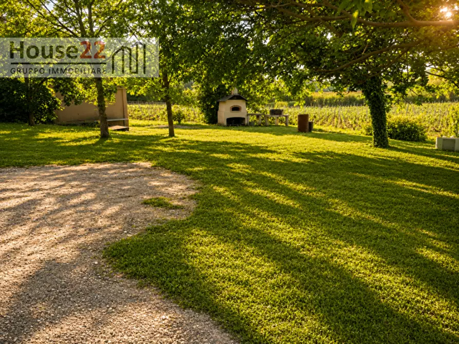 Immagine 18 di Villa in vendita  in via castiglioni 70 a Montespertoli
