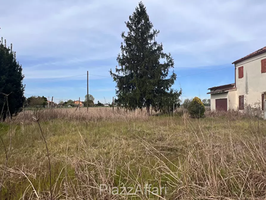 Immagine 6 di Rustico / casale in vendita  in Via Bosco a Correzzola