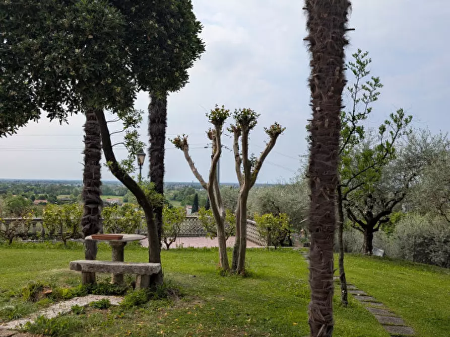 Immagine 5 di Villa in vendita  in Via Asolana a Fonte