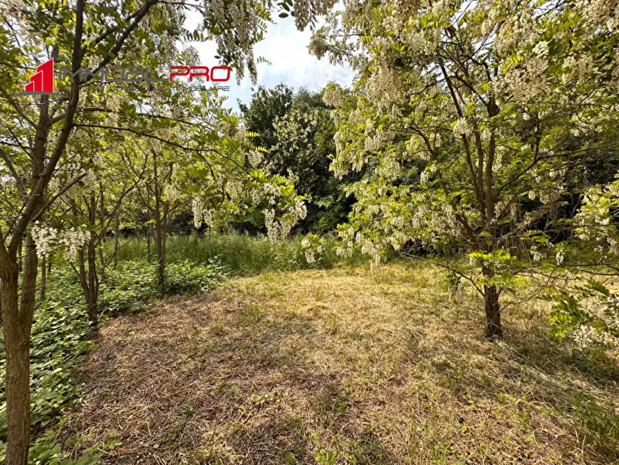Immagine 6 di Terreno in vendita  in Via Calcara a Zugliano