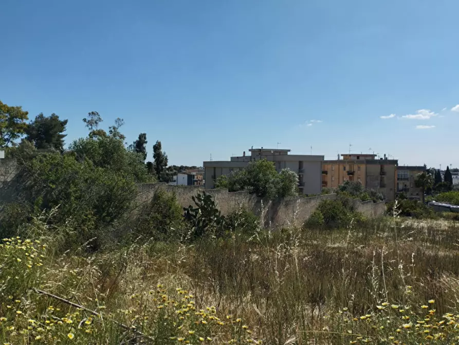 Immagine 3 di Terreno in vendita  in Via Marco Polo a Casarano