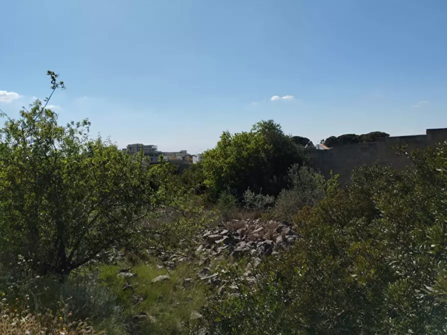 Immagine 5 di Terreno in vendita  in Via Marco Polo a Casarano