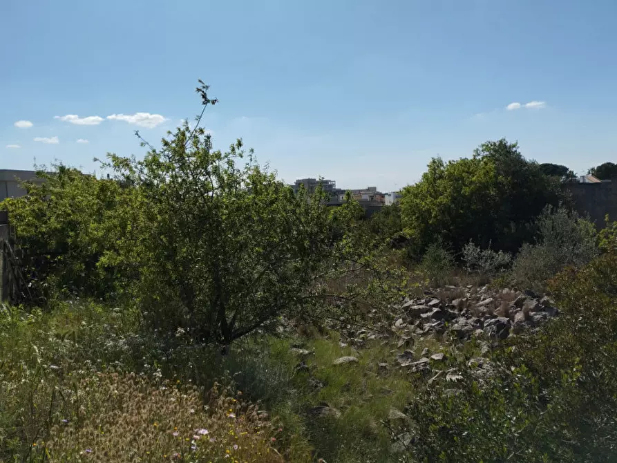 Immagine 6 di Terreno in vendita  in Via Marco Polo a Casarano