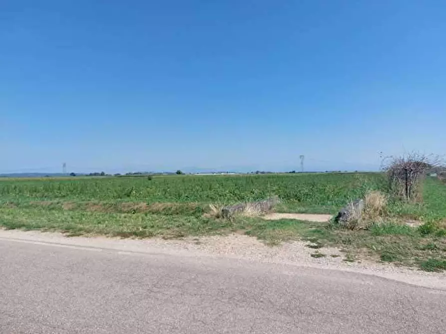 Immagine 3 di Terreno in vendita  in Strada Quistello a Mozzecane