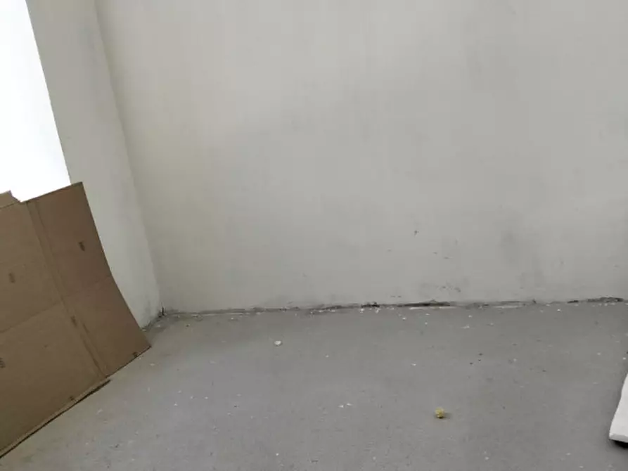 Immagine 13 di Casa indipendente in vendita  in Via Terrassa a Conselve