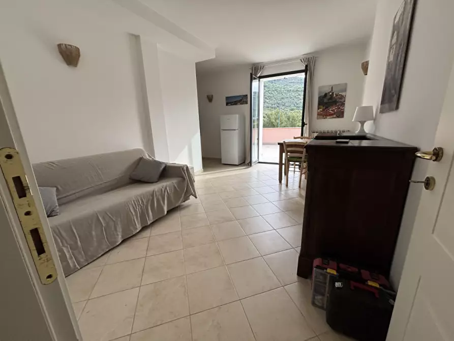 Immagine 43 di Attico in affitto  a Castellaro