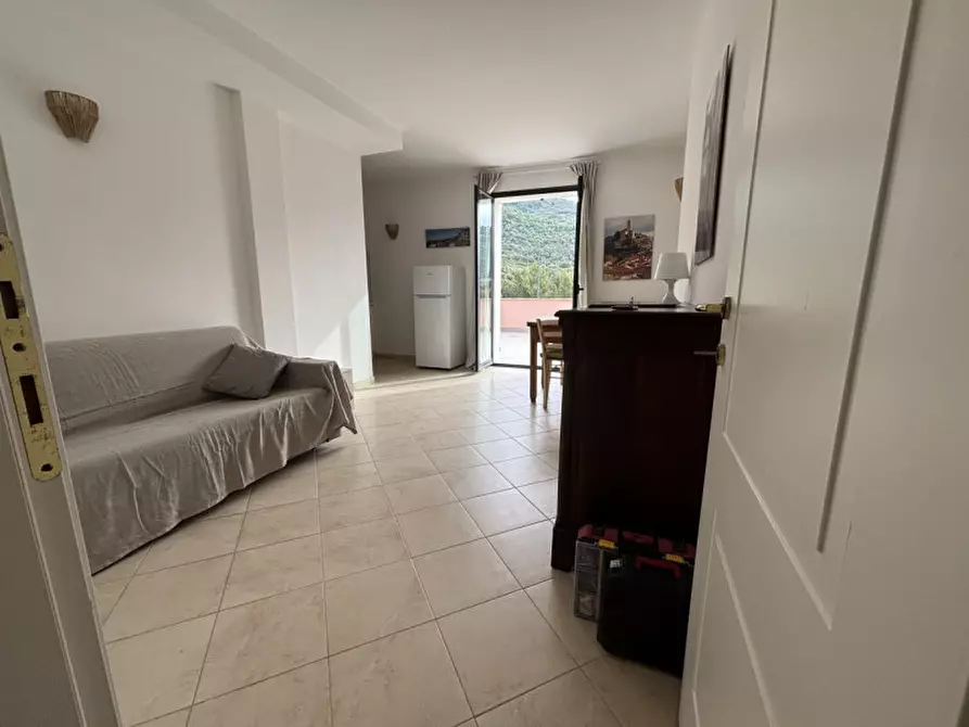 Immagine 44 di Attico in affitto  a Castellaro
