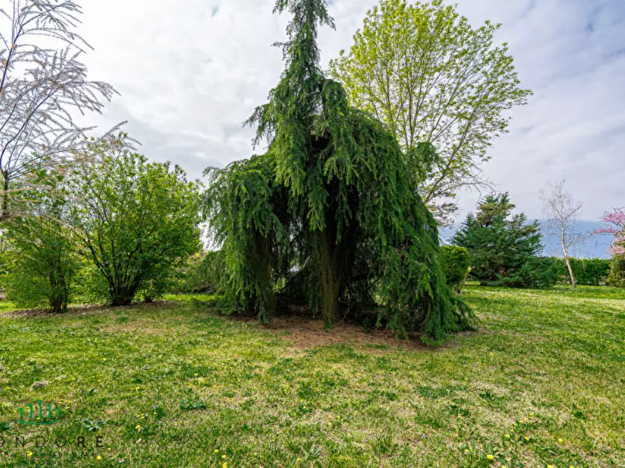 Immagine 80 di Villa in vendita  in Via Marano a Castenaso