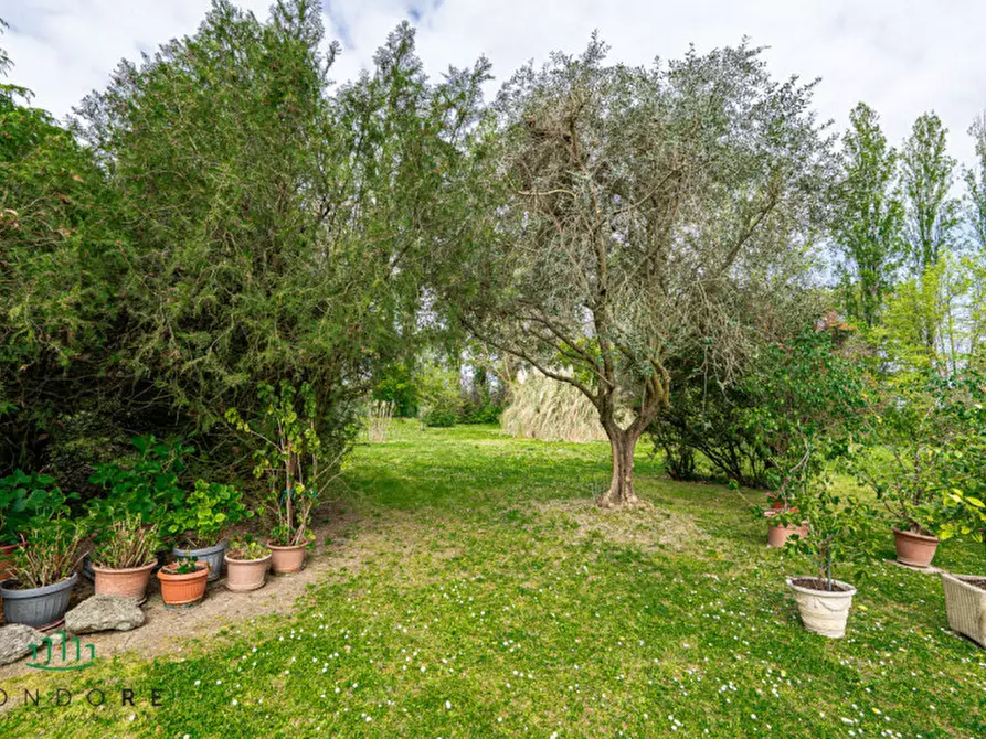 Immagine 84 di Villa in vendita  in Via Marano a Castenaso
