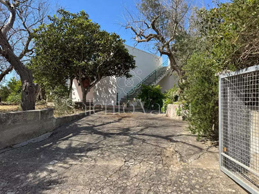 Immagine 9 di Casa indipendente in vendita  in Strada Vicinale Contrada Camine 13 a Matino