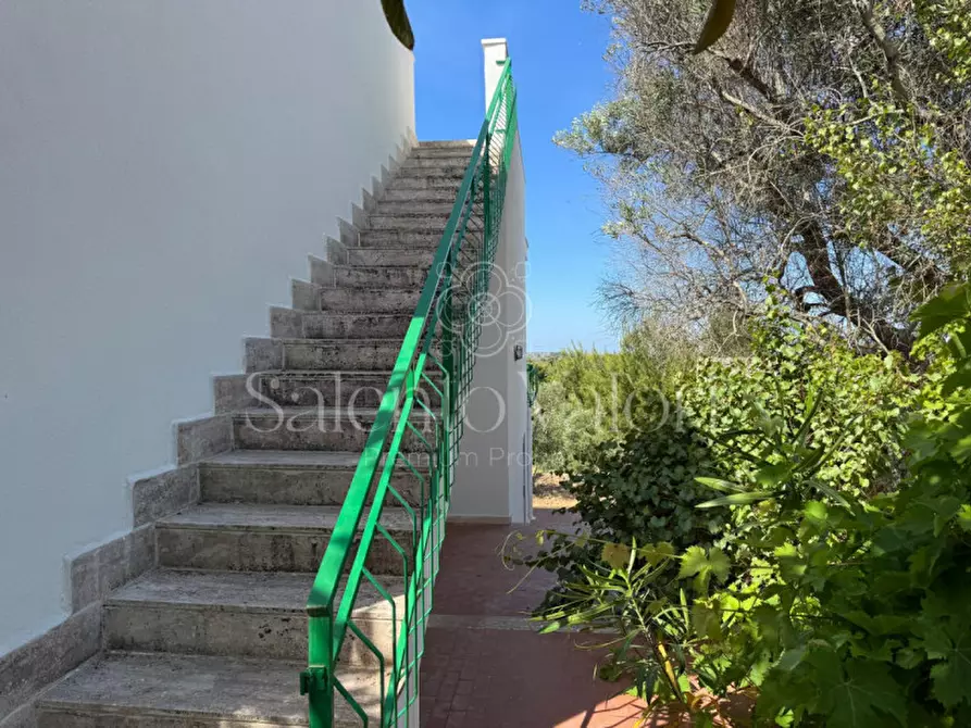 Immagine 18 di Casa indipendente in vendita  in Strada Vicinale Contrada Camine 13 a Matino
