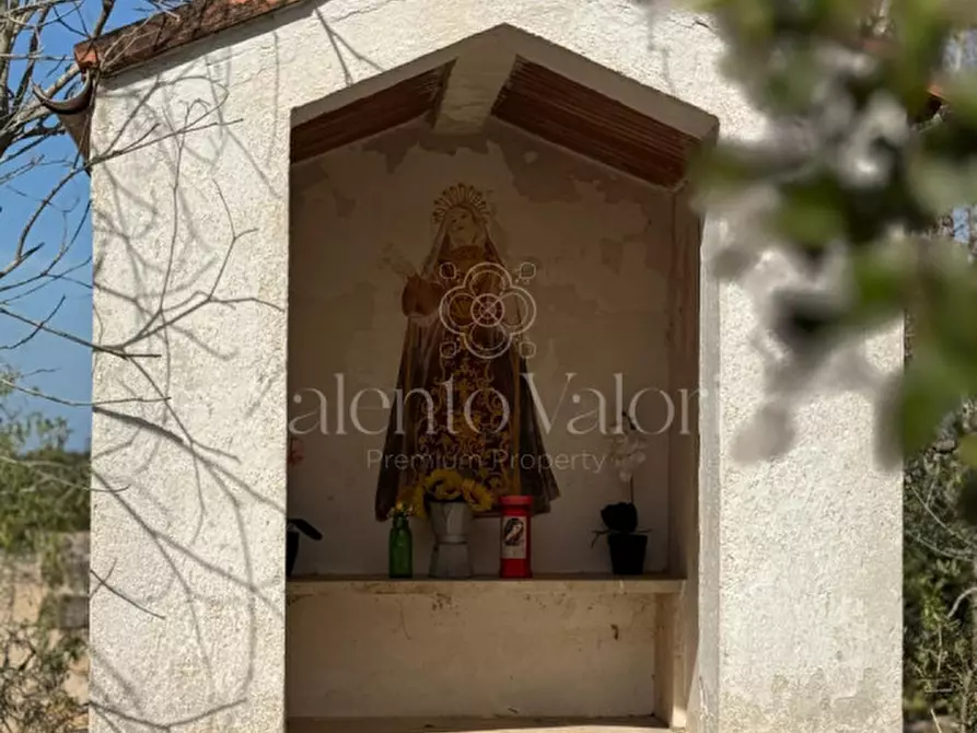 Immagine 33 di Casa indipendente in vendita  in Strada Vicinale Contrada Camine 13 a Matino