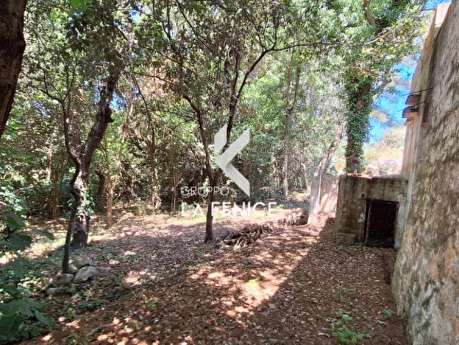 Immagine 34 di Rustico / casale in vendita  in san marco a Locorotondo