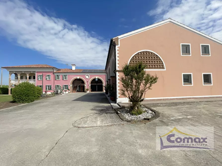 Immagine 2 di Villa in vendita  in Via Calandrine a San Giorgio In Bosco