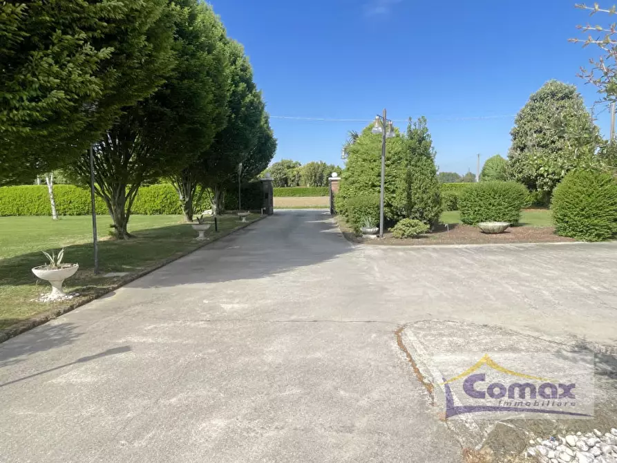Immagine 4 di Villa in vendita  in Via Calandrine a San Giorgio In Bosco