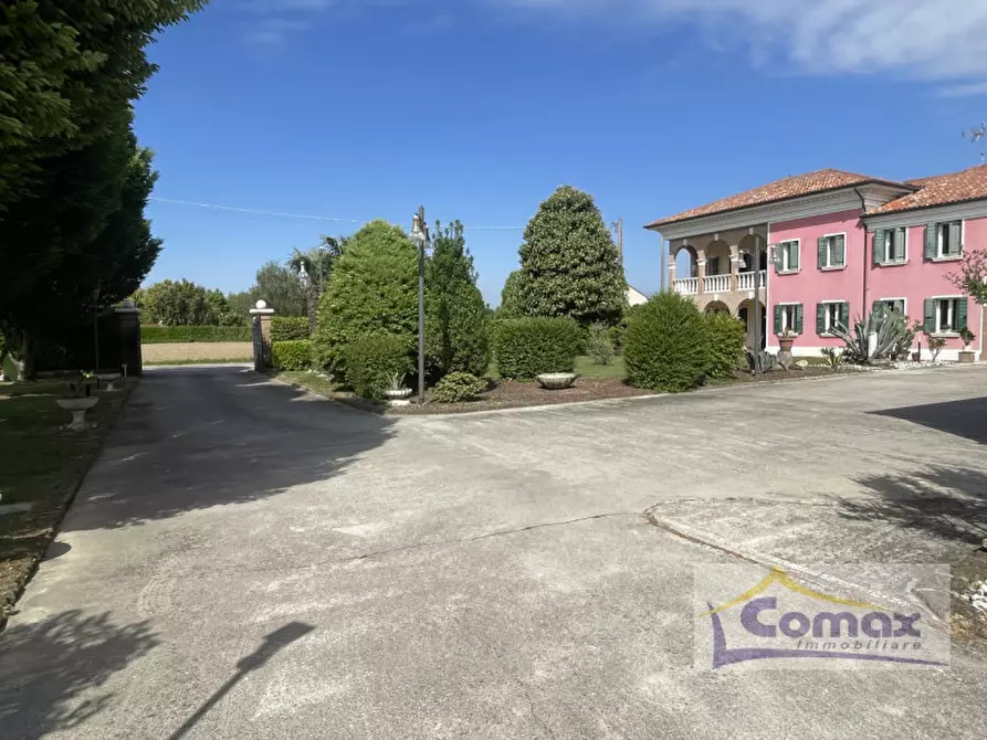 Immagine 5 di Villa in vendita  in Via Calandrine a San Giorgio In Bosco