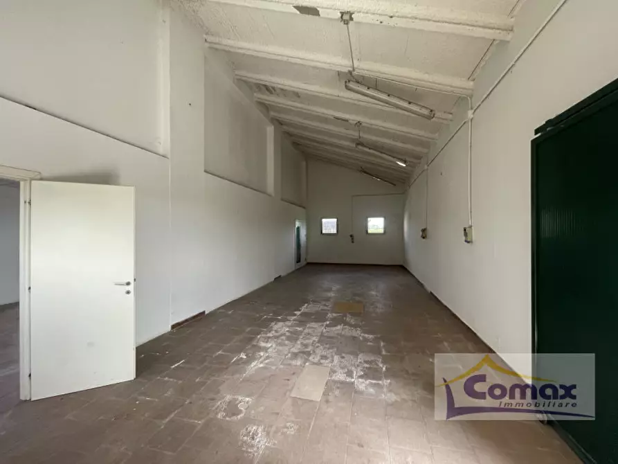 Immagine 29 di Villa in vendita  in Via Calandrine a San Giorgio In Bosco