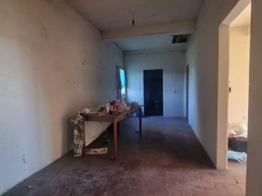 Immagine 11 di Rustico / casale in vendita  a San Martino In Rio