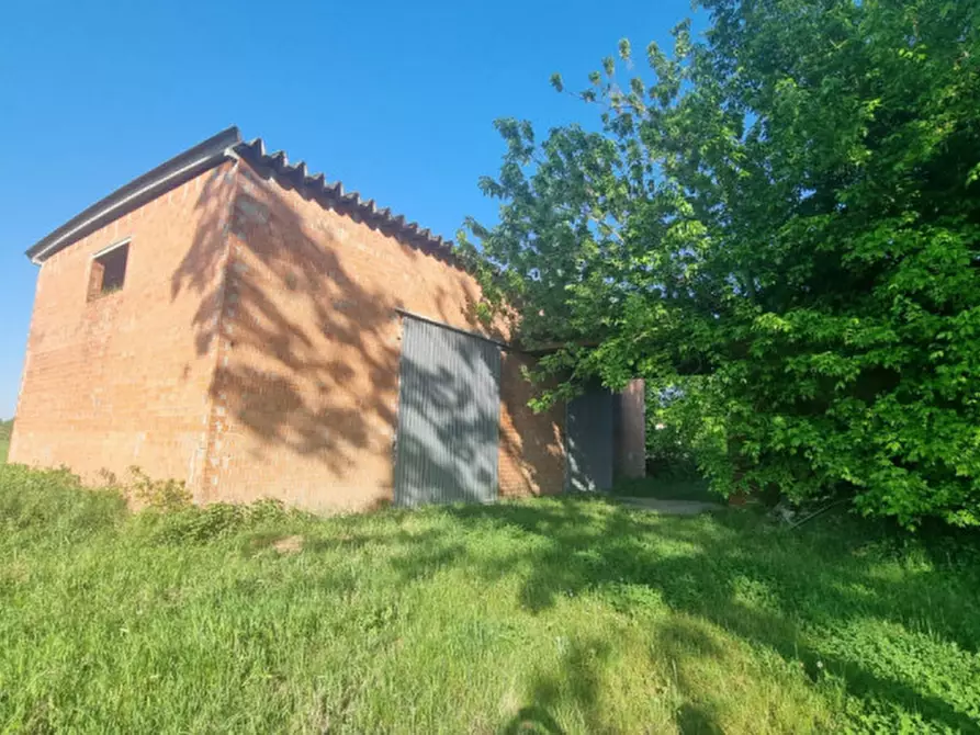 Immagine 14 di Rustico / casale in vendita  a San Martino In Rio