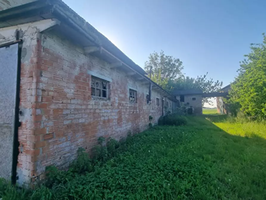Immagine 15 di Rustico / casale in vendita  a San Martino In Rio