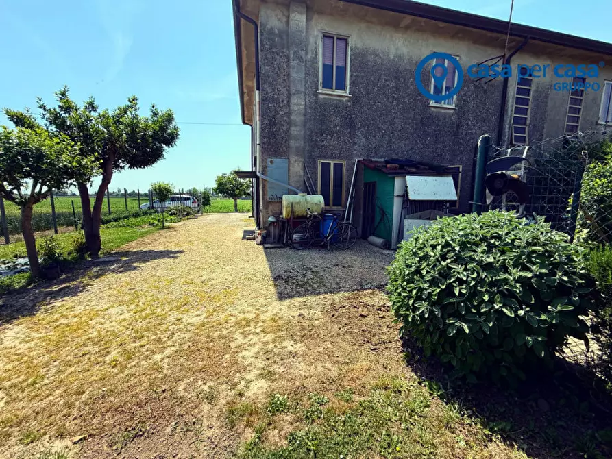 Immagine 5 di Casa bifamiliare in vendita  a Adria