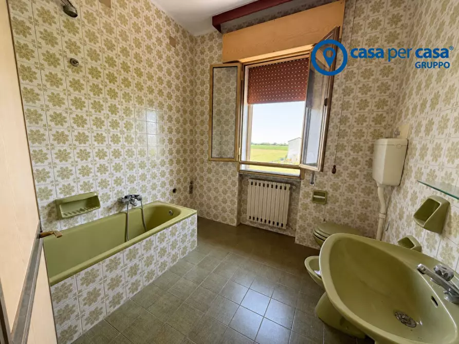 Immagine 18 di Casa bifamiliare in vendita  a Adria
