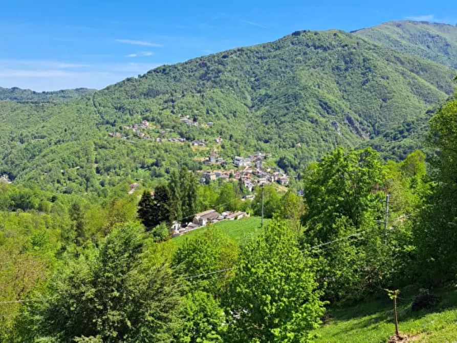 Immagine 9 di Palazzo in vendita  in via san giacomo serra di pamparato a Pamparato