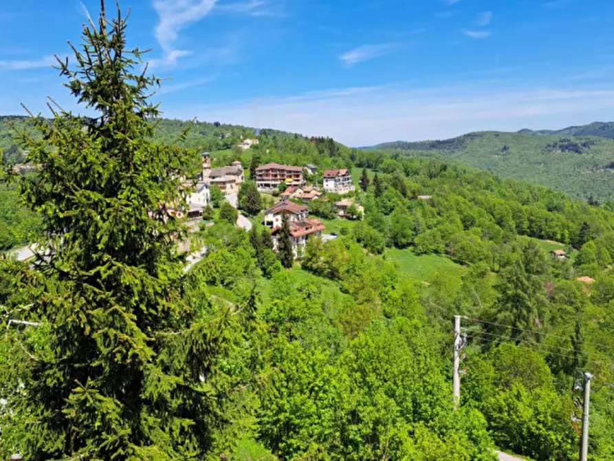 Immagine 11 di Palazzo in vendita  in via san giacomo serra di pamparato a Pamparato