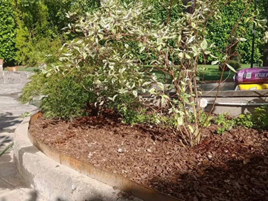 Immagine 13 di Casa indipendente in vendita  in Via Malenghi, 6 a Mattie