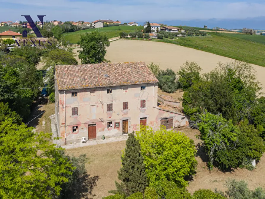 Immagine 2 di Rustico / casale in vendita  in Strada Vincareto a San Costanzo