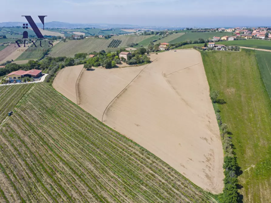 Immagine 3 di Rustico / casale in vendita  in Strada Vincareto a San Costanzo