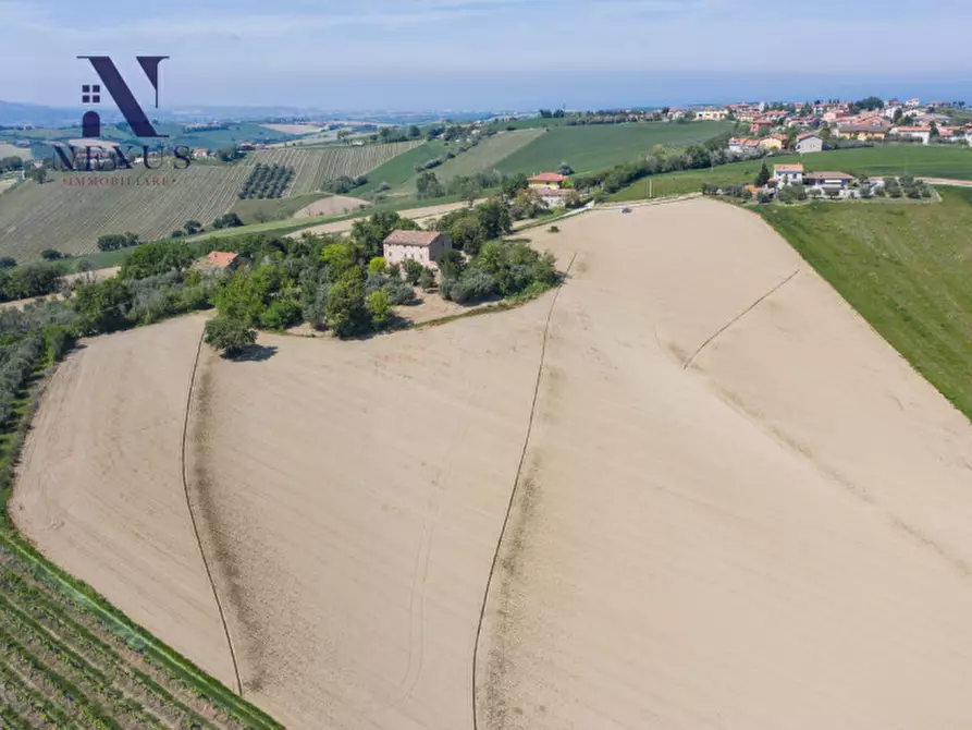 Immagine 4 di Rustico / casale in vendita  in Strada Vincareto a San Costanzo