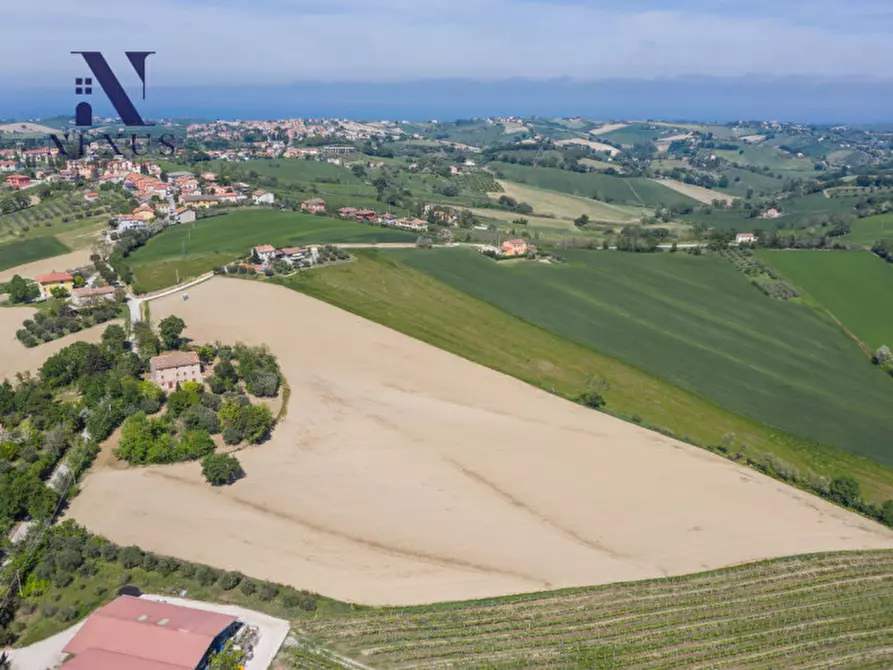 Immagine 5 di Rustico / casale in vendita  in Strada Vincareto a San Costanzo