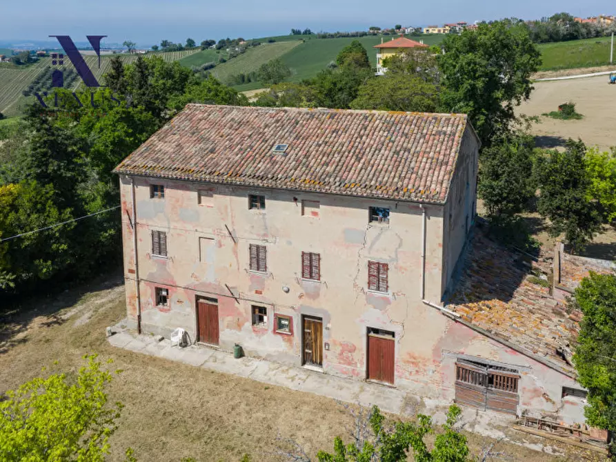 Immagine 7 di Rustico / casale in vendita  in Strada Vincareto a San Costanzo