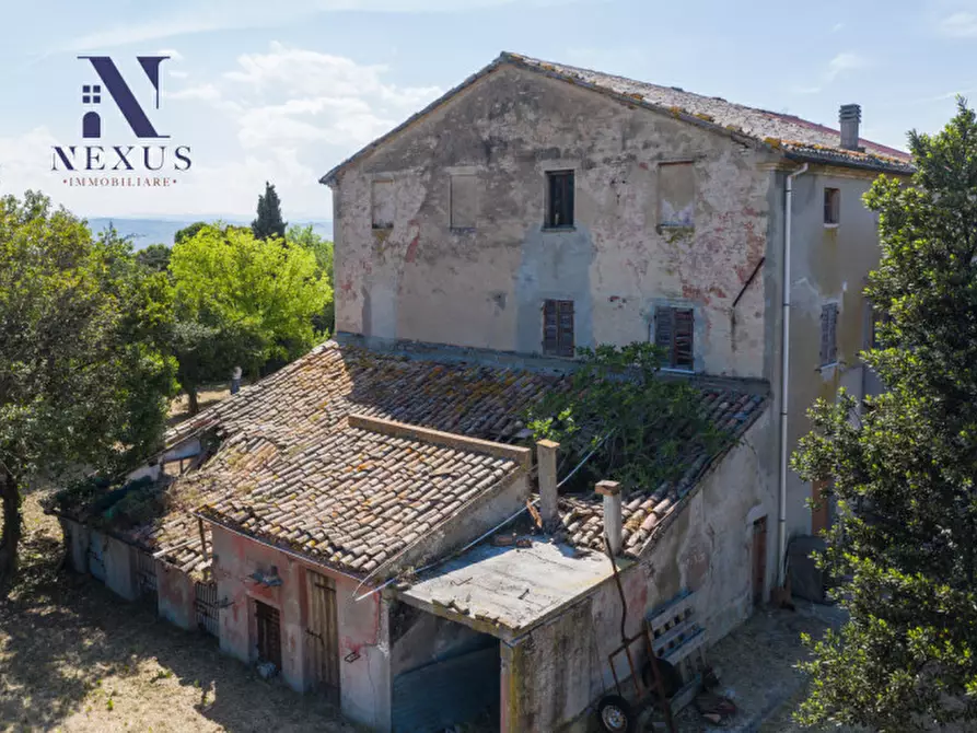 Immagine 9 di Rustico / casale in vendita  in Strada Vincareto a San Costanzo