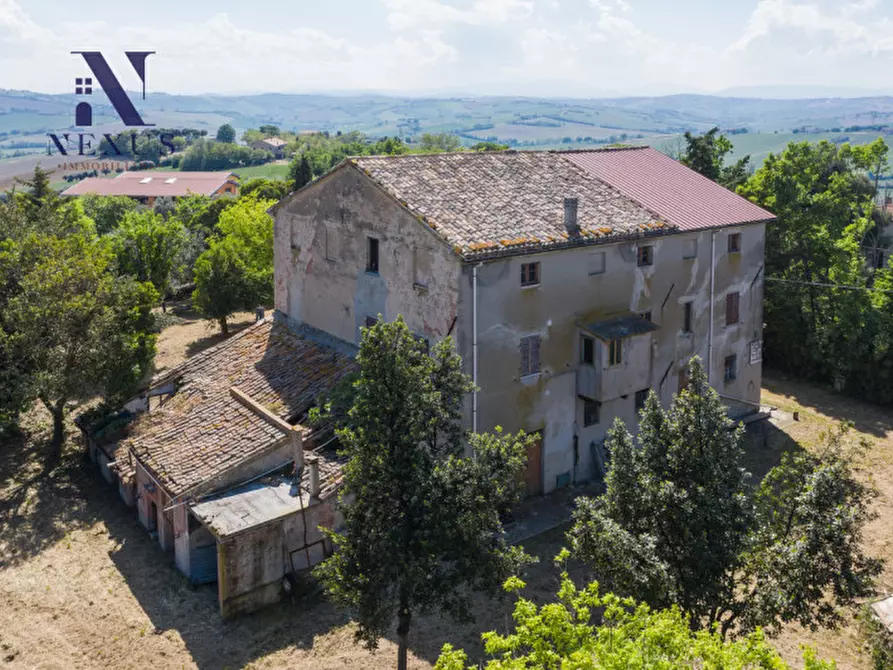 Immagine 10 di Rustico / casale in vendita  in Strada Vincareto a San Costanzo