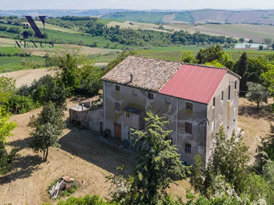 Immagine 11 di Rustico / casale in vendita  in Strada Vincareto a San Costanzo