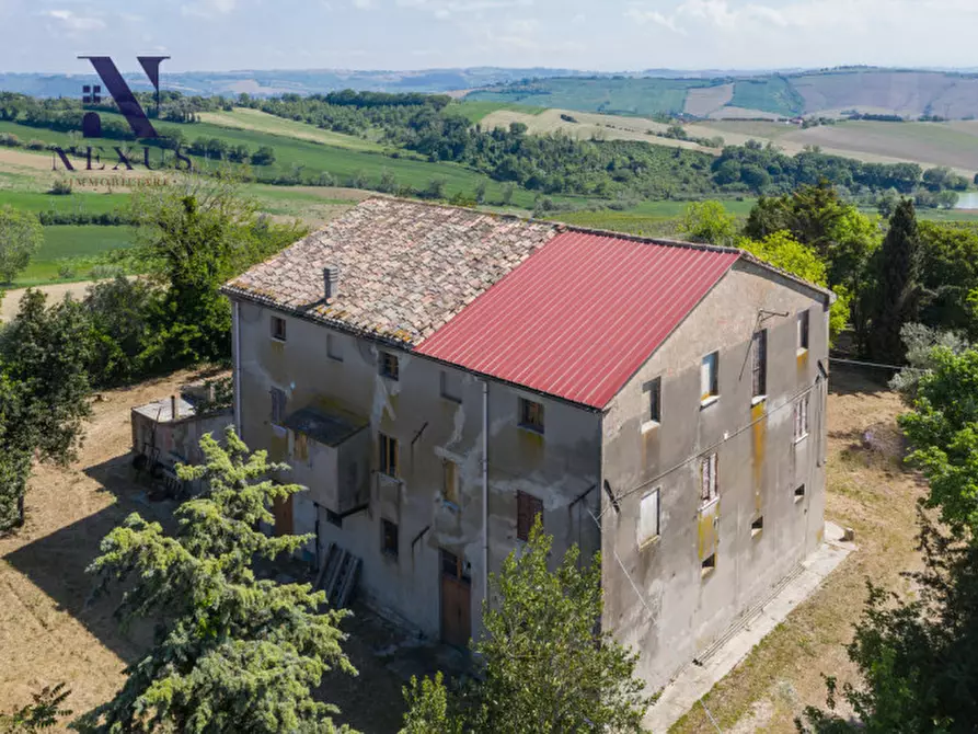 Immagine 12 di Rustico / casale in vendita  in Strada Vincareto a San Costanzo