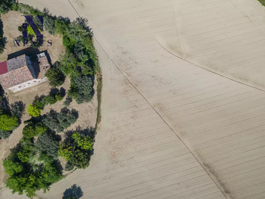 Immagine 14 di Rustico / casale in vendita  in Strada Vincareto a San Costanzo
