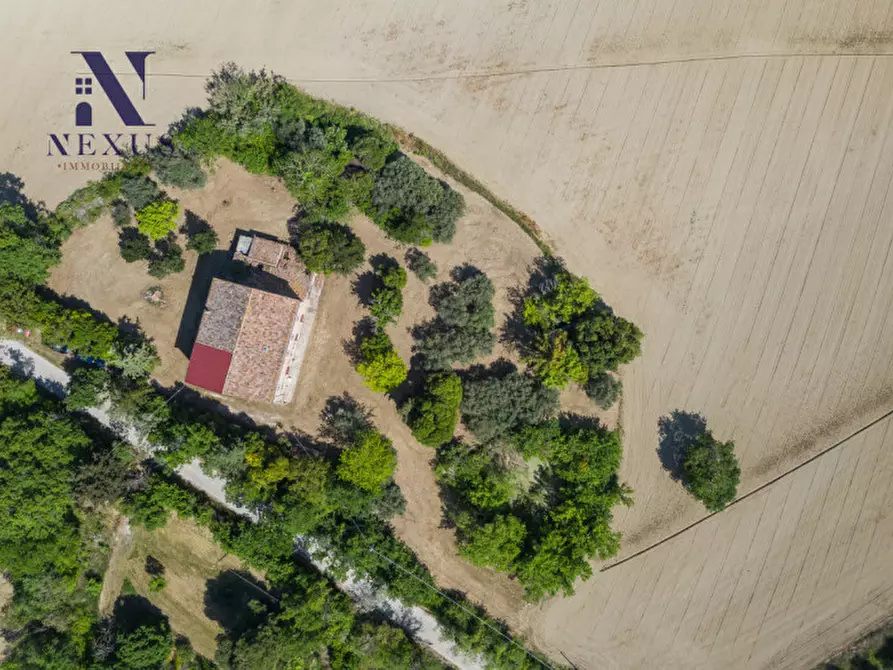 Immagine 15 di Rustico / casale in vendita  in Strada Vincareto a San Costanzo