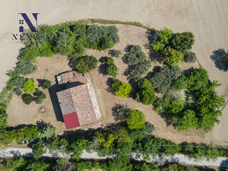 Immagine 16 di Rustico / casale in vendita  in Strada Vincareto a San Costanzo