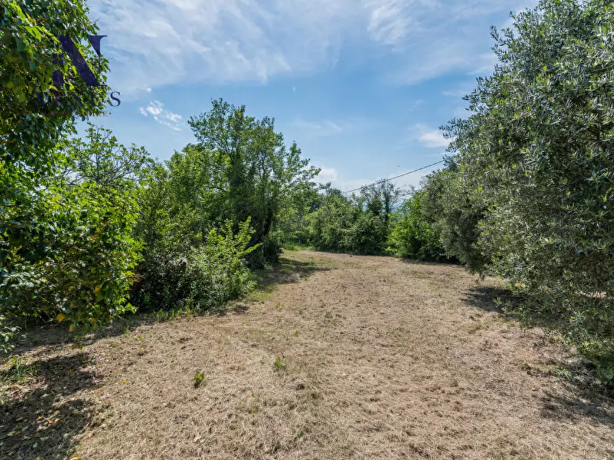 Immagine 42 di Rustico / casale in vendita  in Strada Vincareto a San Costanzo