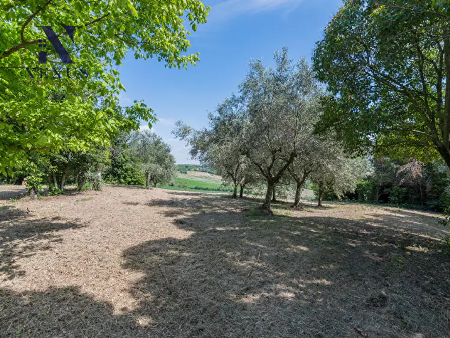 Immagine 43 di Rustico / casale in vendita  in Strada Vincareto a San Costanzo