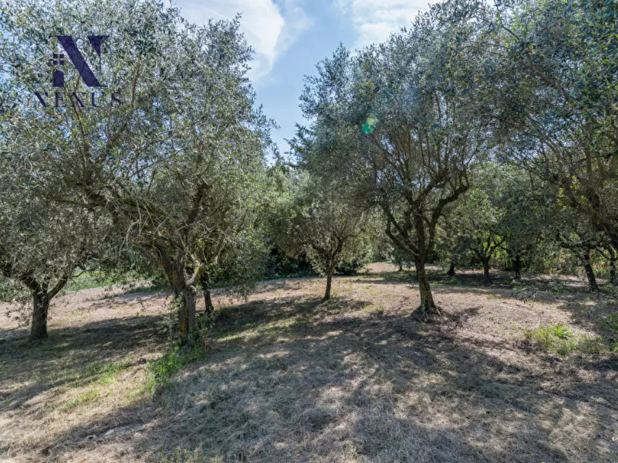 Immagine 44 di Rustico / casale in vendita  in Strada Vincareto a San Costanzo