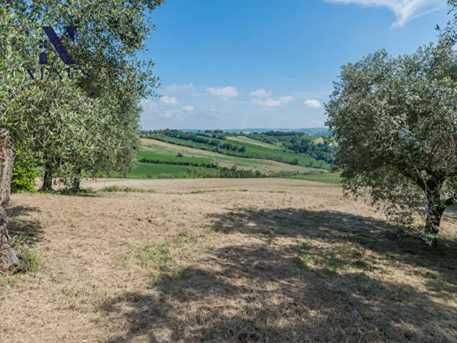 Immagine 45 di Rustico / casale in vendita  in Strada Vincareto a San Costanzo