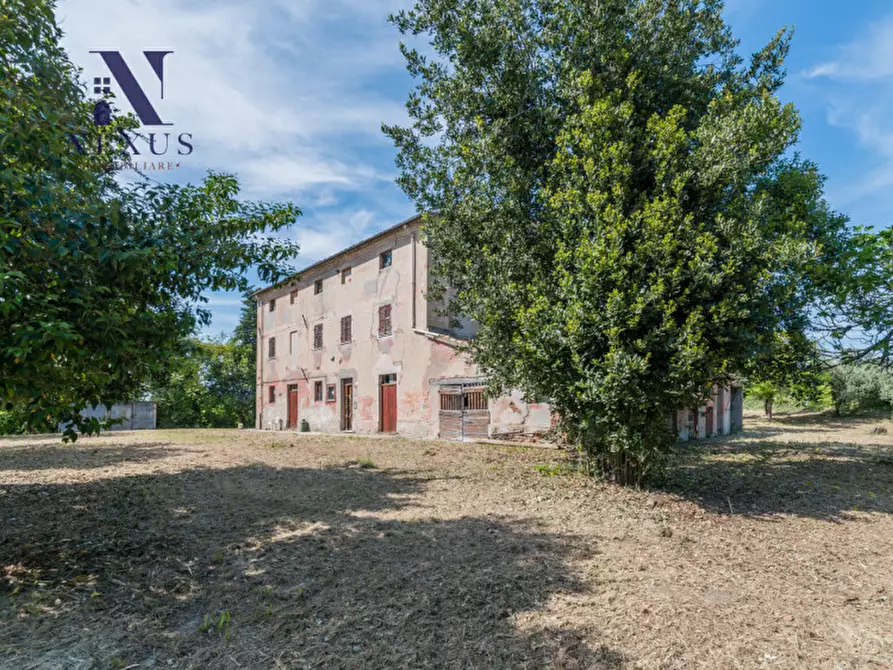 Immagine 47 di Rustico / casale in vendita  in Strada Vincareto a San Costanzo