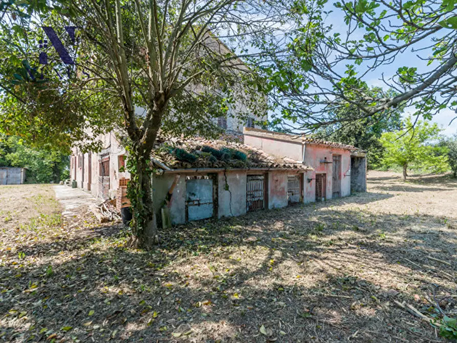 Immagine 48 di Rustico / casale in vendita  in Strada Vincareto a San Costanzo