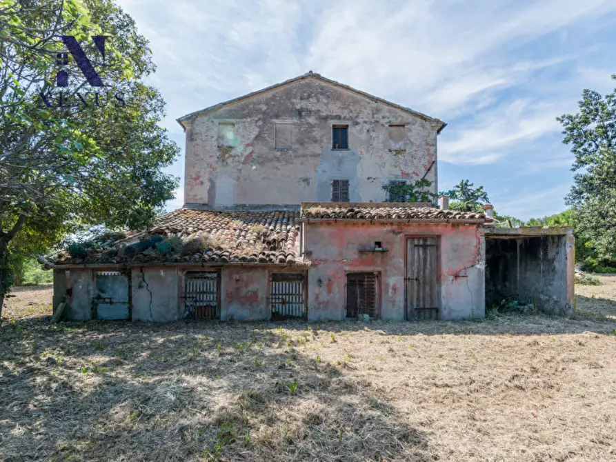 Immagine 49 di Rustico / casale in vendita  in Strada Vincareto a San Costanzo